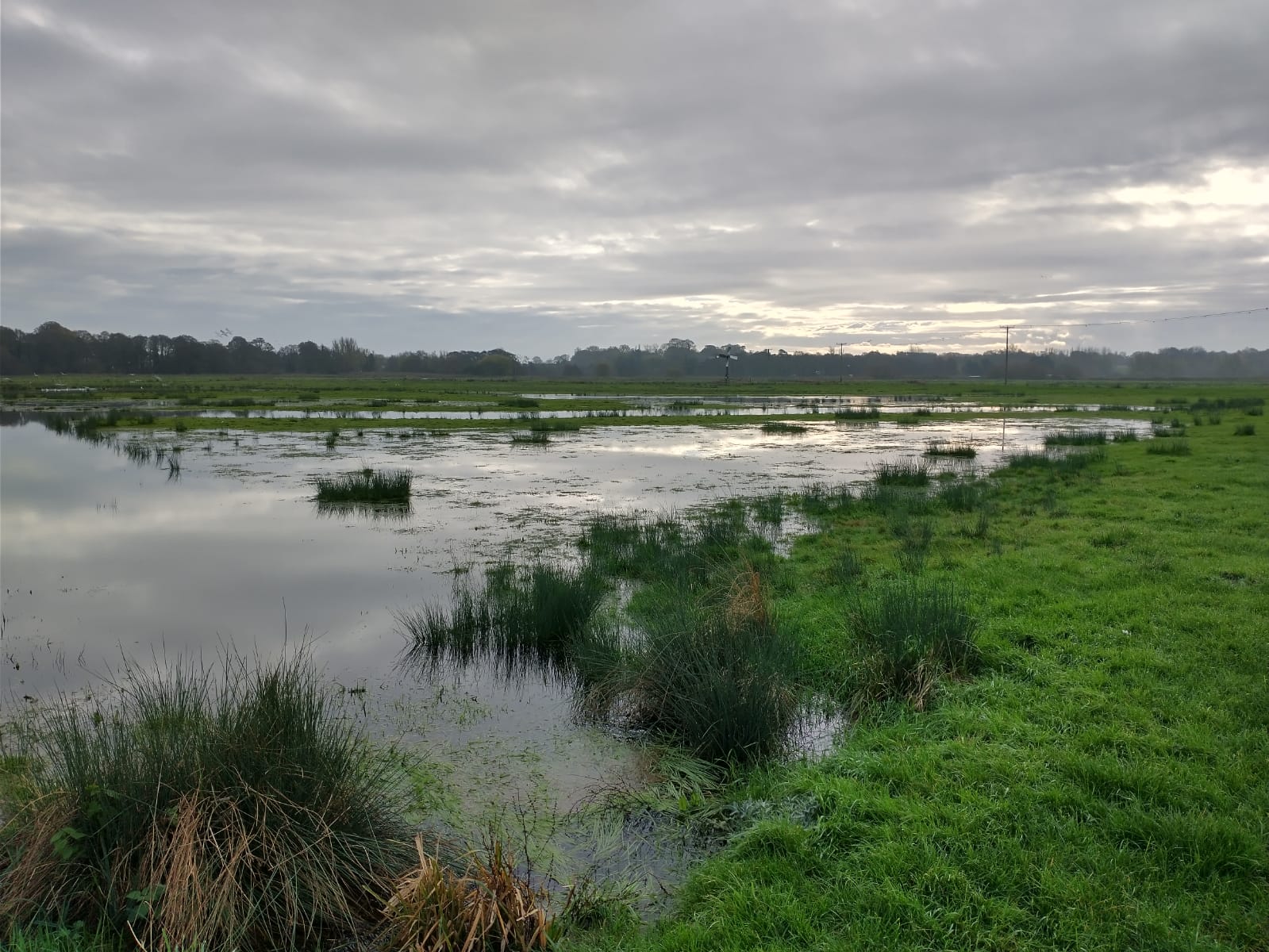 Flooded scrapes Lewis Yates Suffolk Wildlife Trust